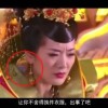 49图库电脑版下载库官方
